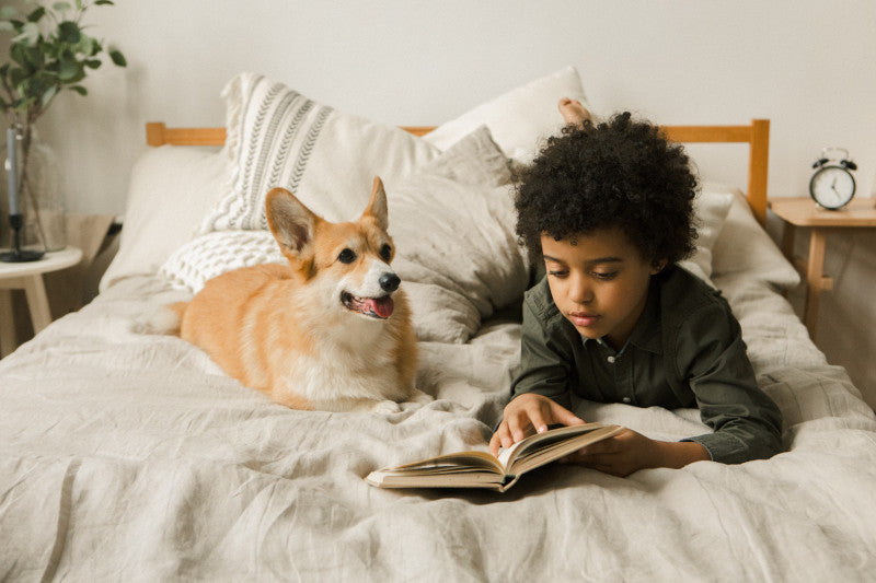 Welsh Corgi liegt im Bett mit einem Jungen und hört sich Geschichten an